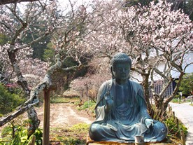 いつもなら仏像の前には季節の花が供えられているが、この日は見当たらず。春の花が咲くまではもう少し？