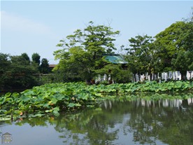 この年の春に鶴岡八幡宮を訪れた際は、大規模清掃のため水を張っていなかった源氏池。元の状態に戻った様子。奥に見えるのは旗上弁財天。