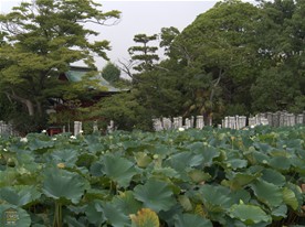 奥に見えるは旗上弁財天。