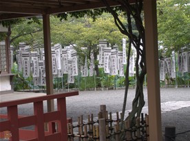 このような感じで島を覆うように旗が立っているので島の内側にいるとハスが殆ど見れない。