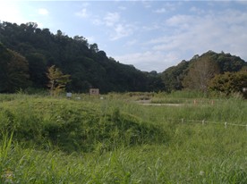 鎌倉ハイキングコースと周辺観光スポット 永福寺跡