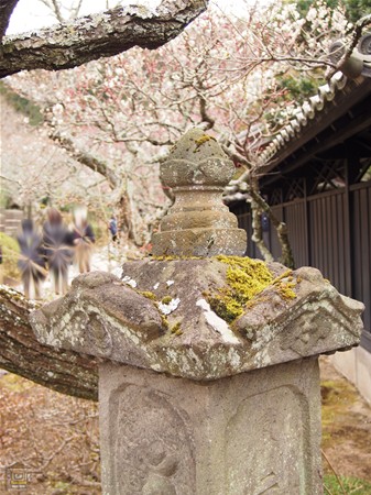 東慶寺 縁切寺 花の寺 鎌倉観光マップス 東慶寺 縁切寺 花の寺 鎌倉観光マップス
