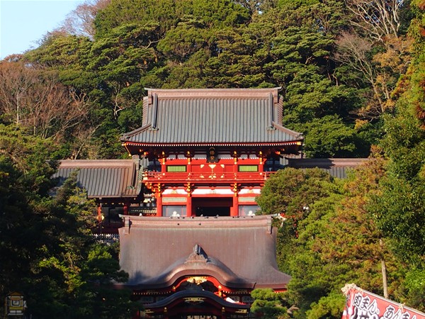 八幡宮 歴史 鶴岡