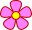 紫陽花(アジサイ)の見頃目安は、6月上旬～7月上旬頃