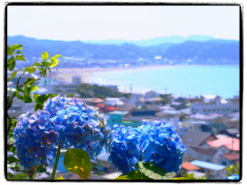 長谷散策 長谷散策