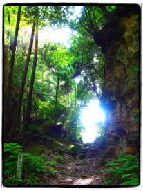 鎌倉七口(朝夷奈切通) 鎌倉七口(朝夷奈切通)
